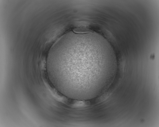 X0000113600083200910021751