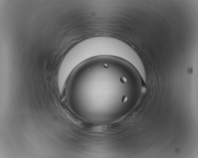 X0000113600084200910021751