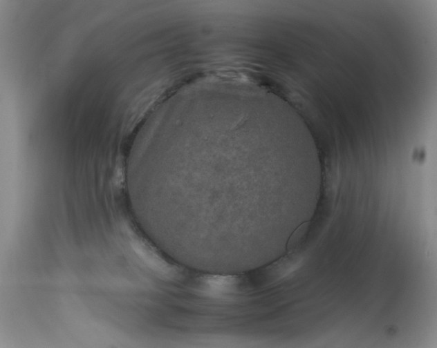 X0000113600085200910021751