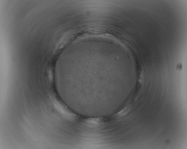 X0000113600086200910021751