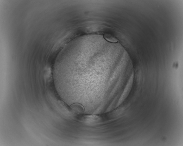 X0000113600087200910021751