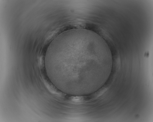 X0000113600088200910021751