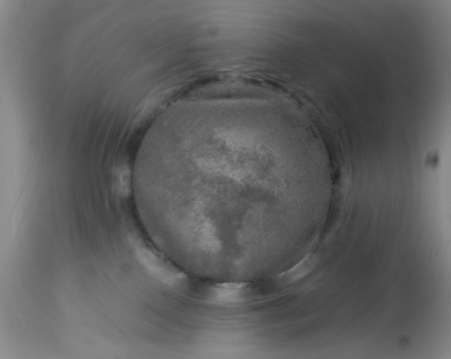 X0000113600090200910021751