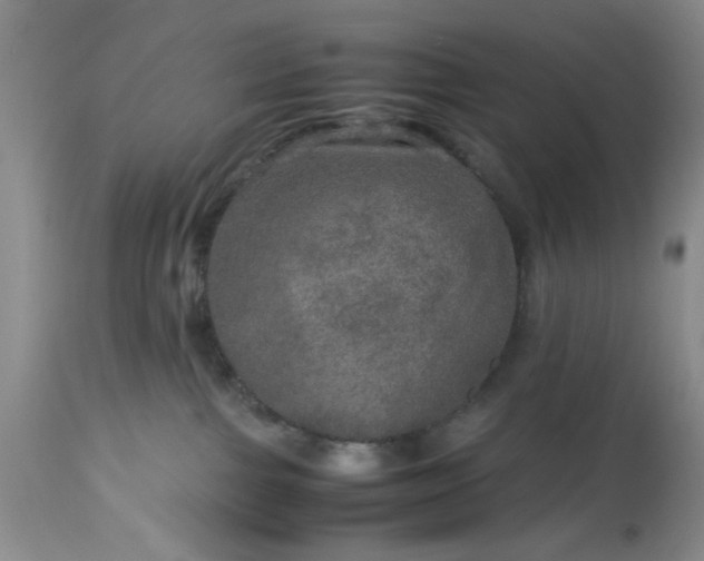 X0000113600091200910021751