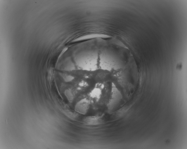 X0000113600093200910021751