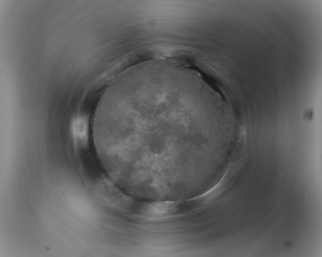 X0000113600094200910021751