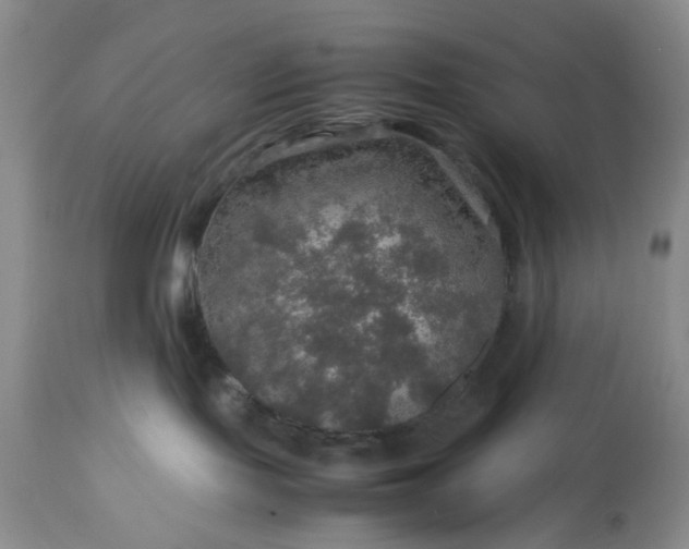 X0000113600095200910021751