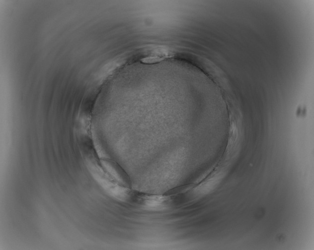 X0000113600096200910021751