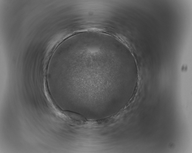 X0000113600097200910021750