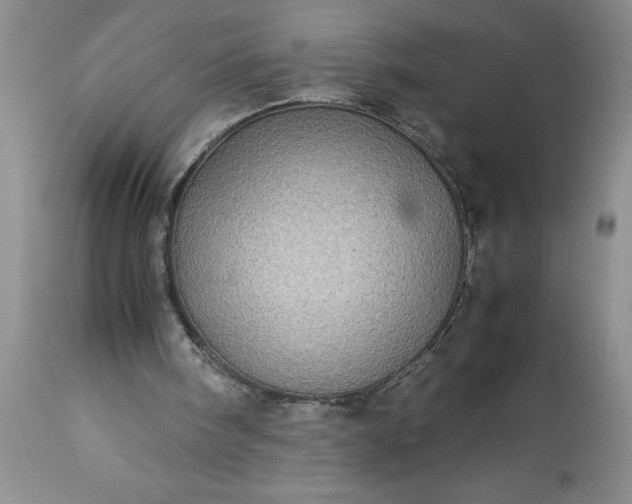 X0000113600098200910021750