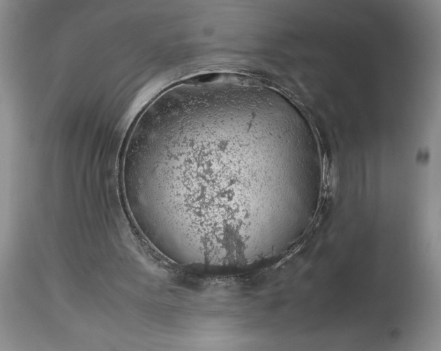 X0000113600099200910021750