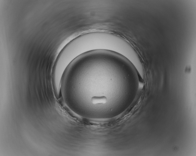 X0000113600100200910021750