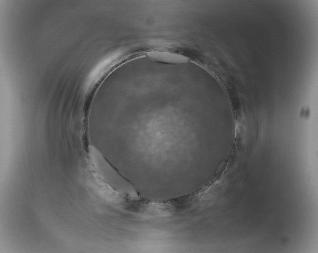 X0000113600101200910021750