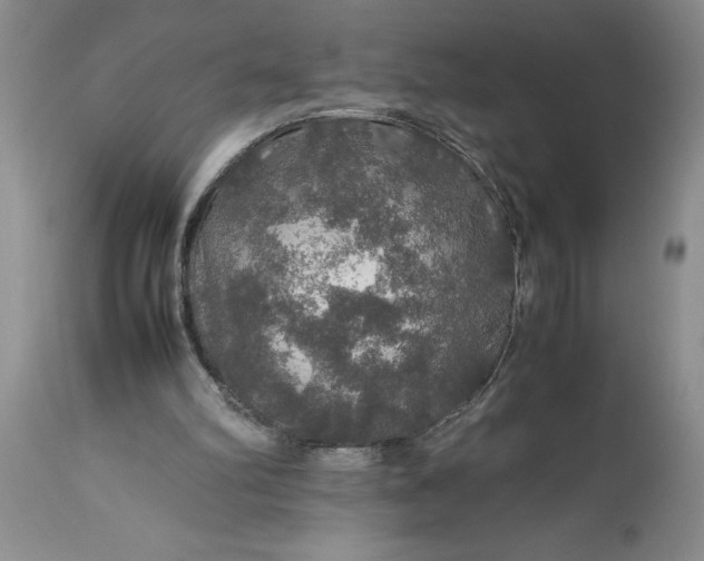 X0000113600102200910021750