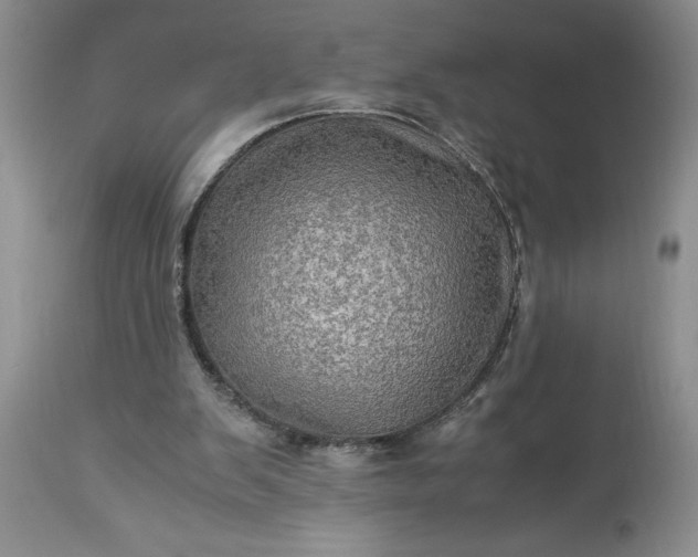 X0000113600103200910021750