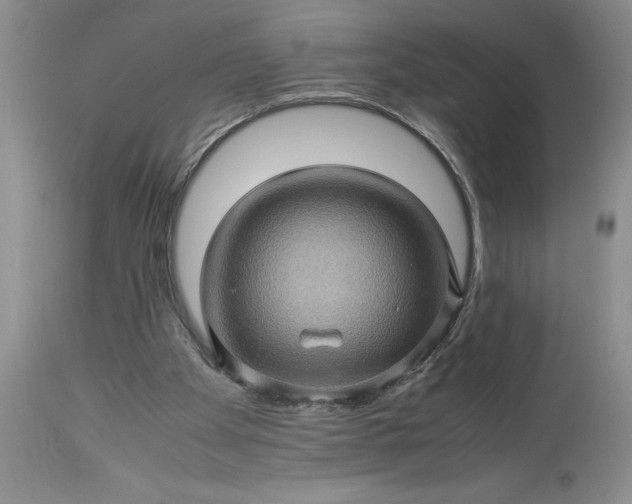 X0000113600105200910021750