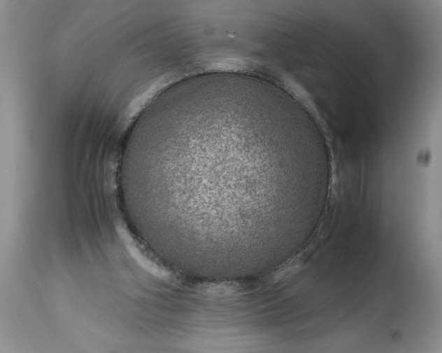 X0000113600106200910021750