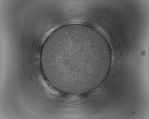 X0000113600107200910021750