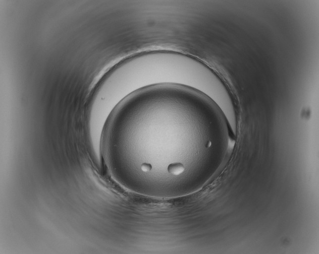 X0000113600108200910021750