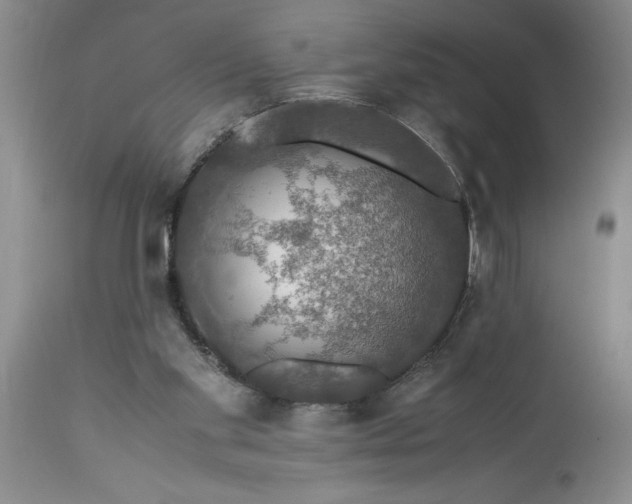 X0000113600109200910021750