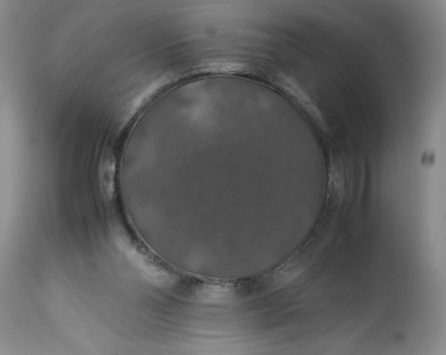 X0000113600110200910021750