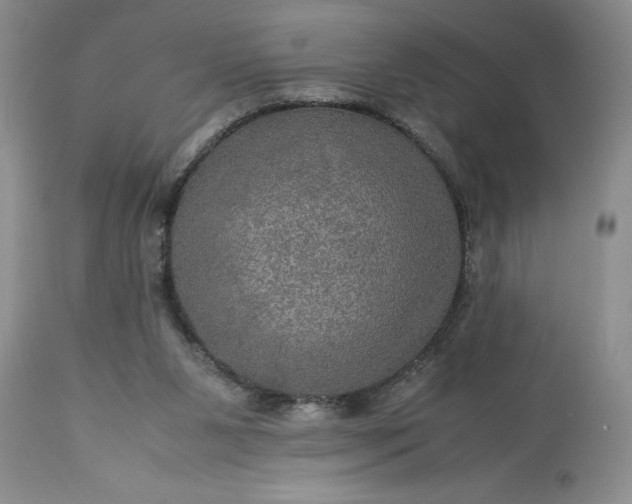 X0000113600111200910021750