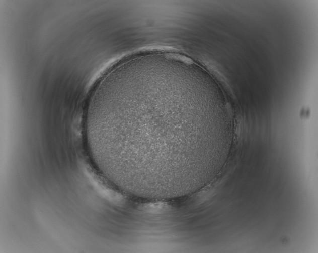 X0000113600112200910021750