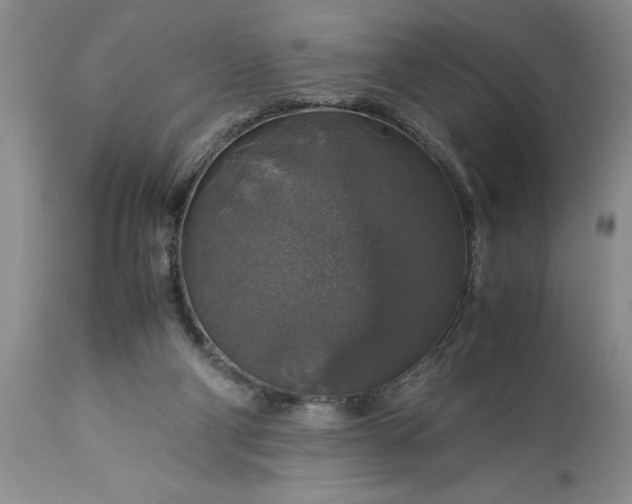 X0000113600114200910021750