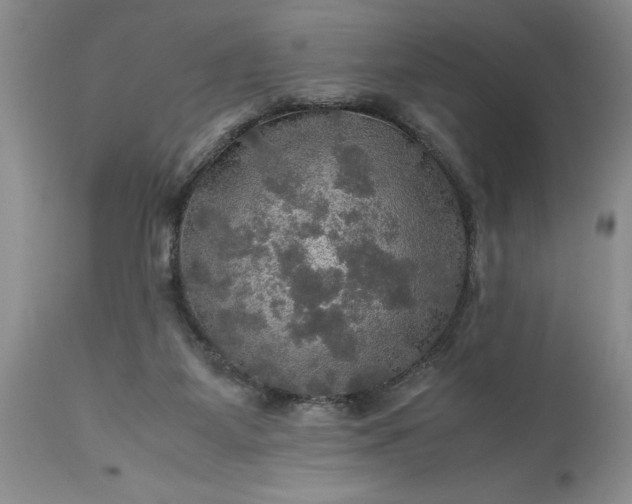 X0000113600115200910021750