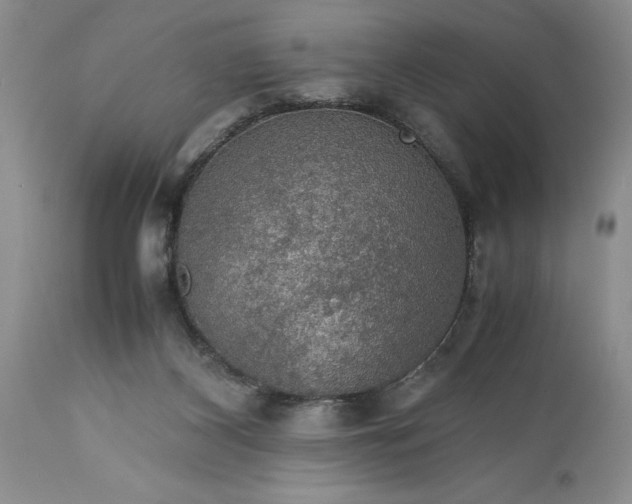 X0000113600116200910021750