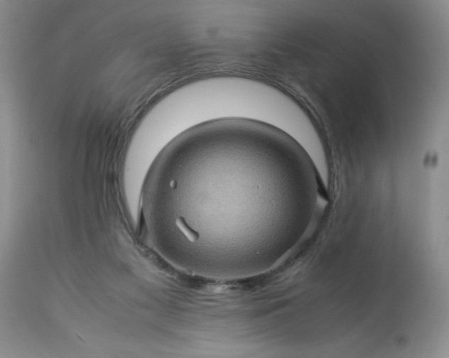 X0000113600117200910021750