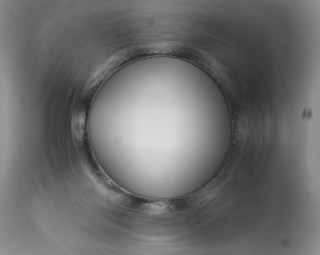 X0000113600118200910021750