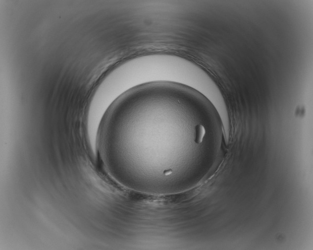 X0000113600120200910021750