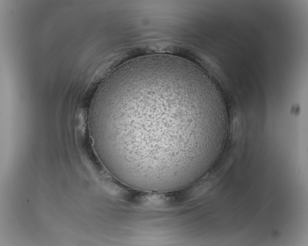 X0000113600121200910021750