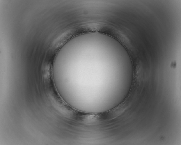 X0000113600122200910021750