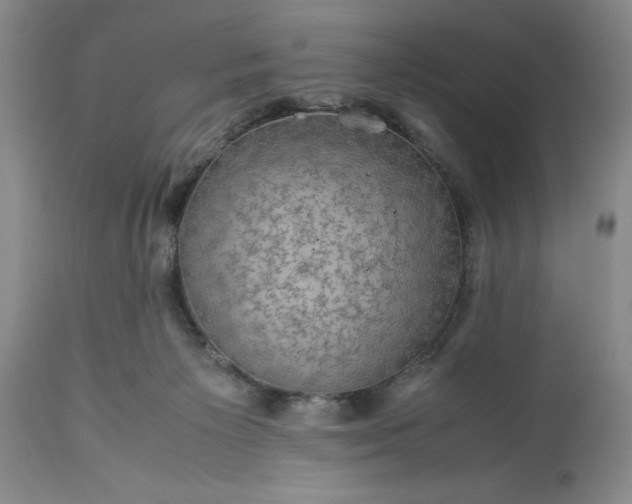 X0000113600125200910021750