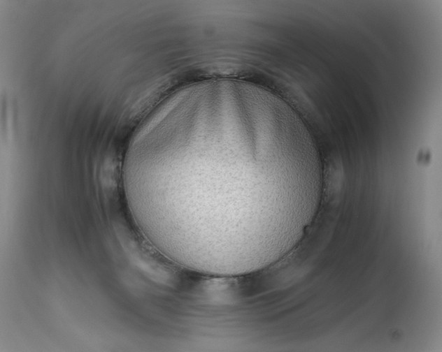 X0000113600126200910021750