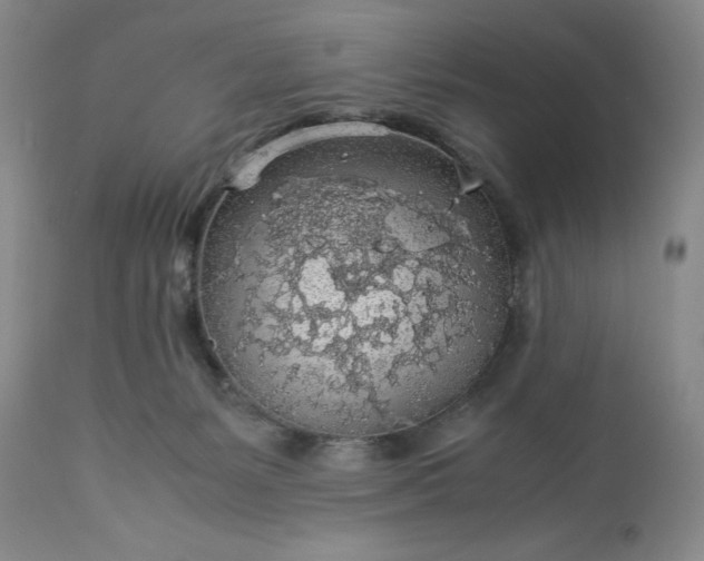 X0000113600127200910021750