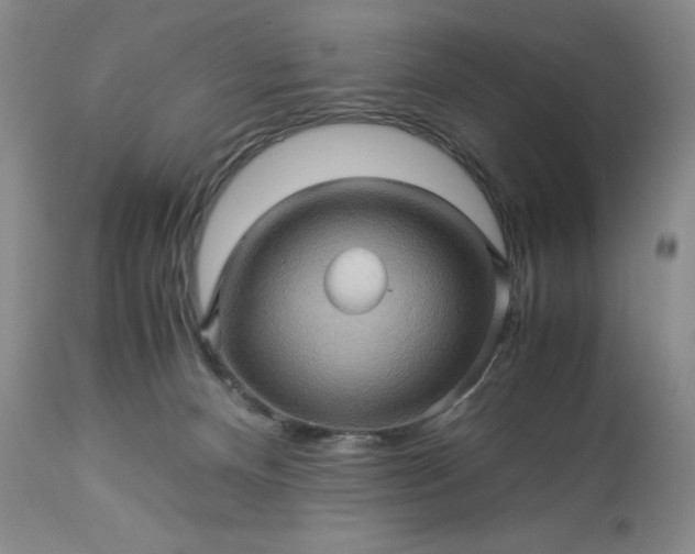 X0000113600128200910021750