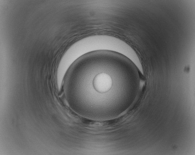 X0000113600129200910021750