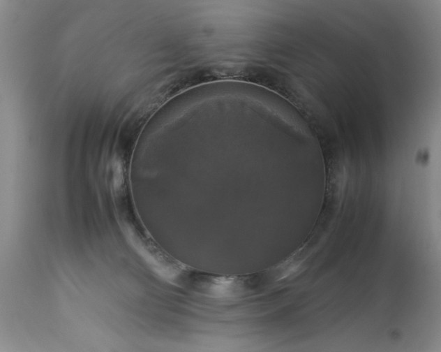 X0000113600130200910021750