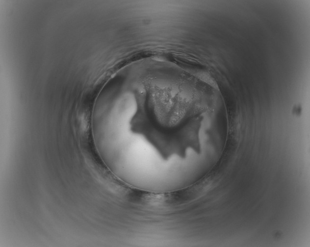 X0000113600131200910021750