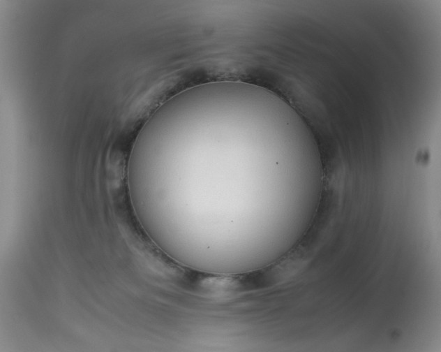 X0000113600133200910021750