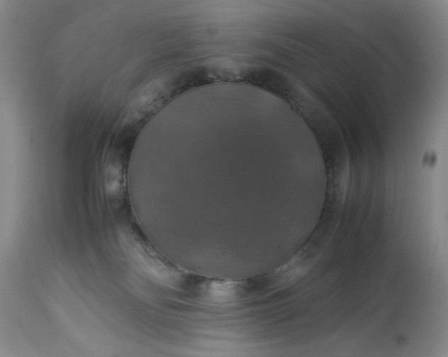 X0000113600134200910021750