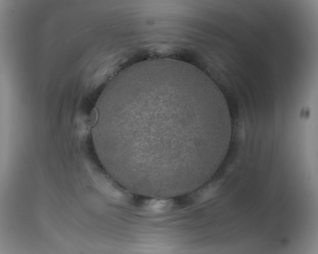 X0000113600135200910021750