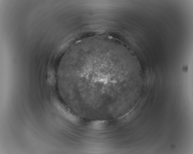 X0000113600136200910021750