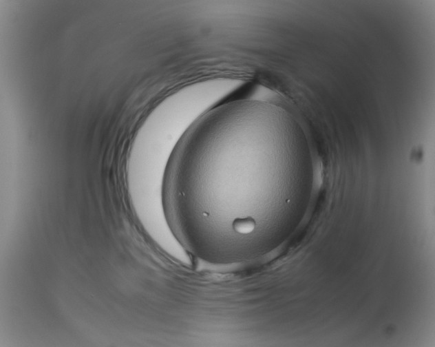 X0000113600137200910021750