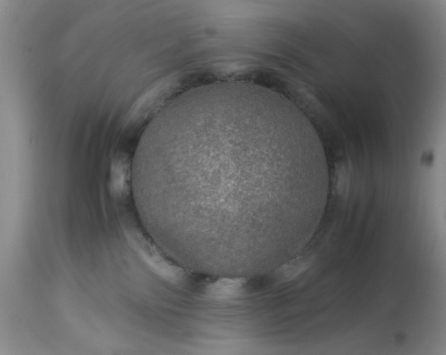 X0000113600138200910021750