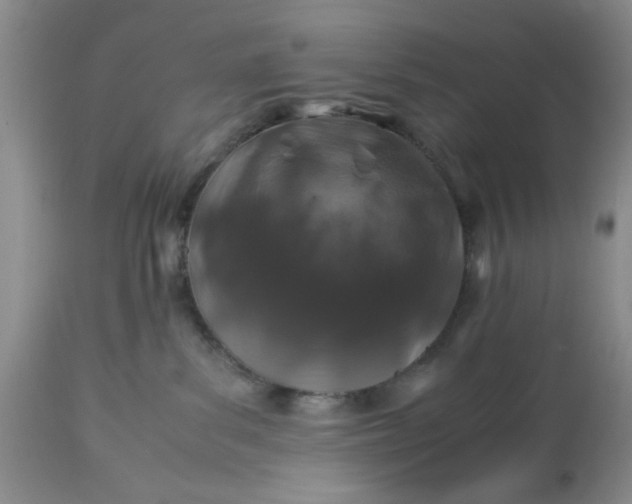 X0000113600139200910021750