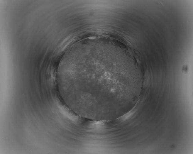 X0000113600140200910021750